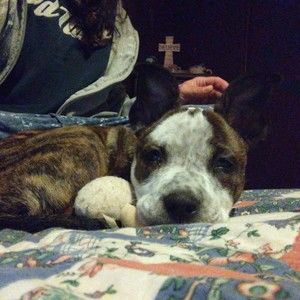 Meet your Posher, Lida